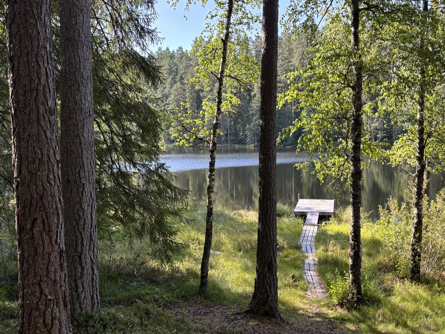 Vy över tjärnen