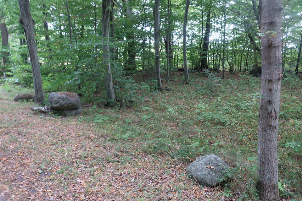 Vacker bokskog längs Gribshundsleden 