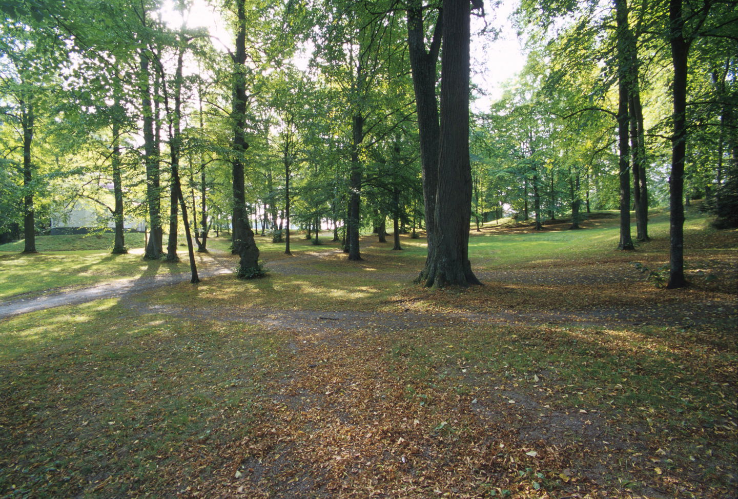 Engelska parken