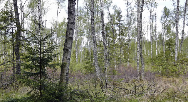 Tjuttorp, Naturreservat