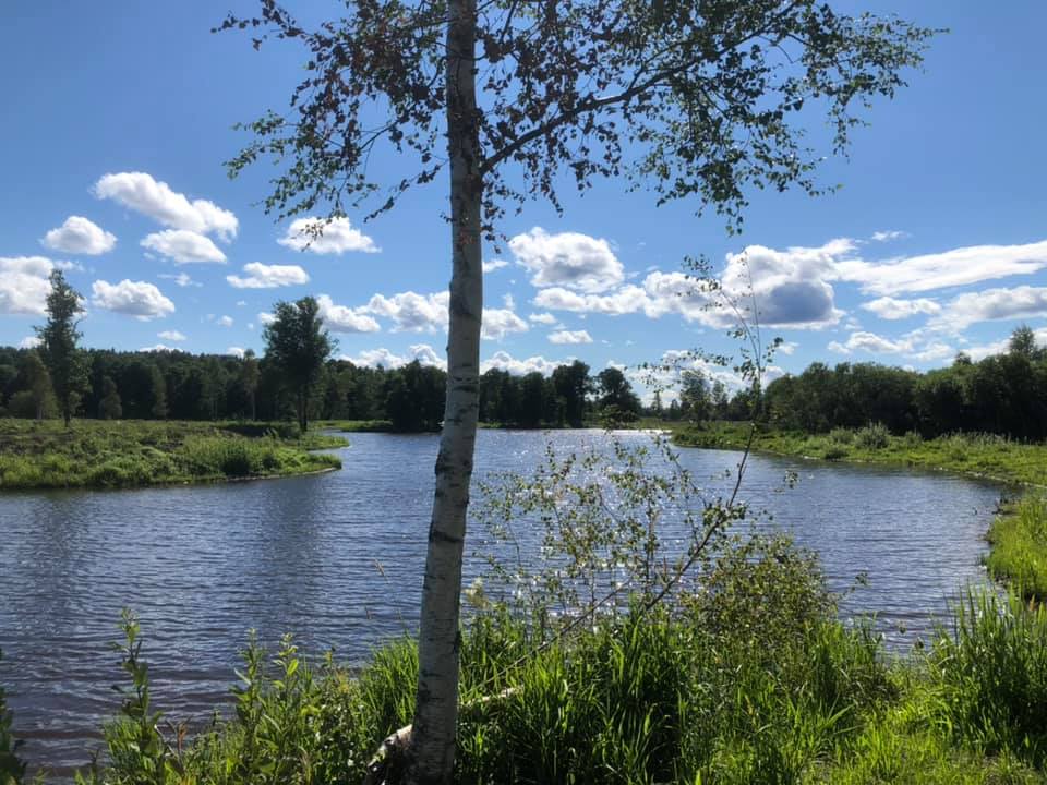 Lindbomossen - foto: Sören Erilsson Naturvård AB