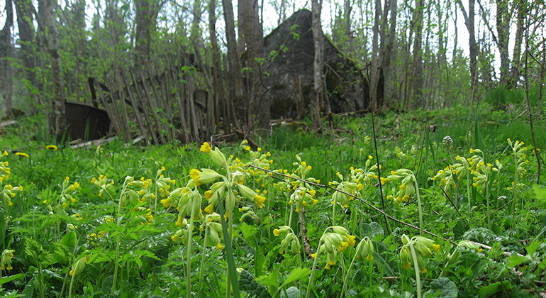 Fotograf: Per Lindegård