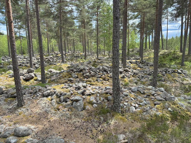 The stone rows of Gullaskruv