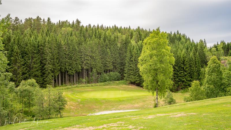 Pjece Forstyrre Skeptisk Mørk Golfclub, Spydeberg — Unionsleden