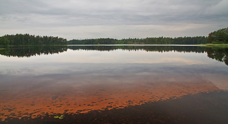 Vittsjön.