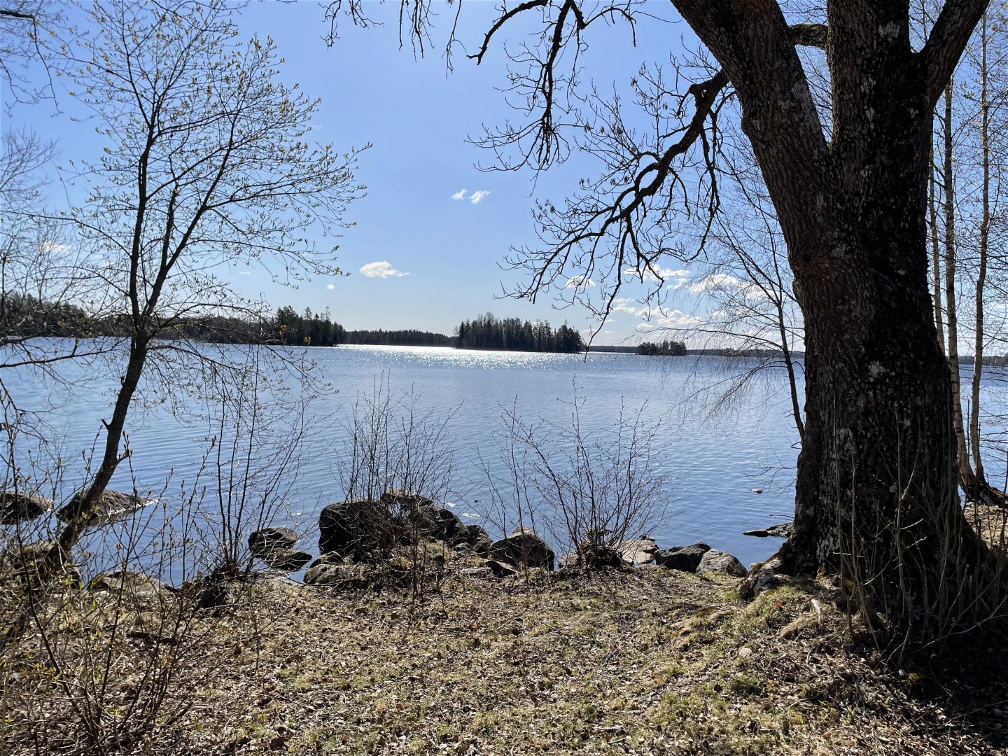 Utsikt över Lundbosjön