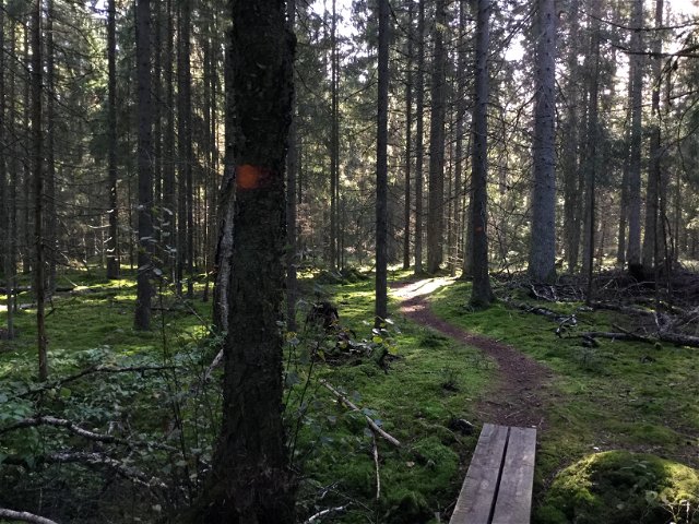Loop trail Gullringskärret