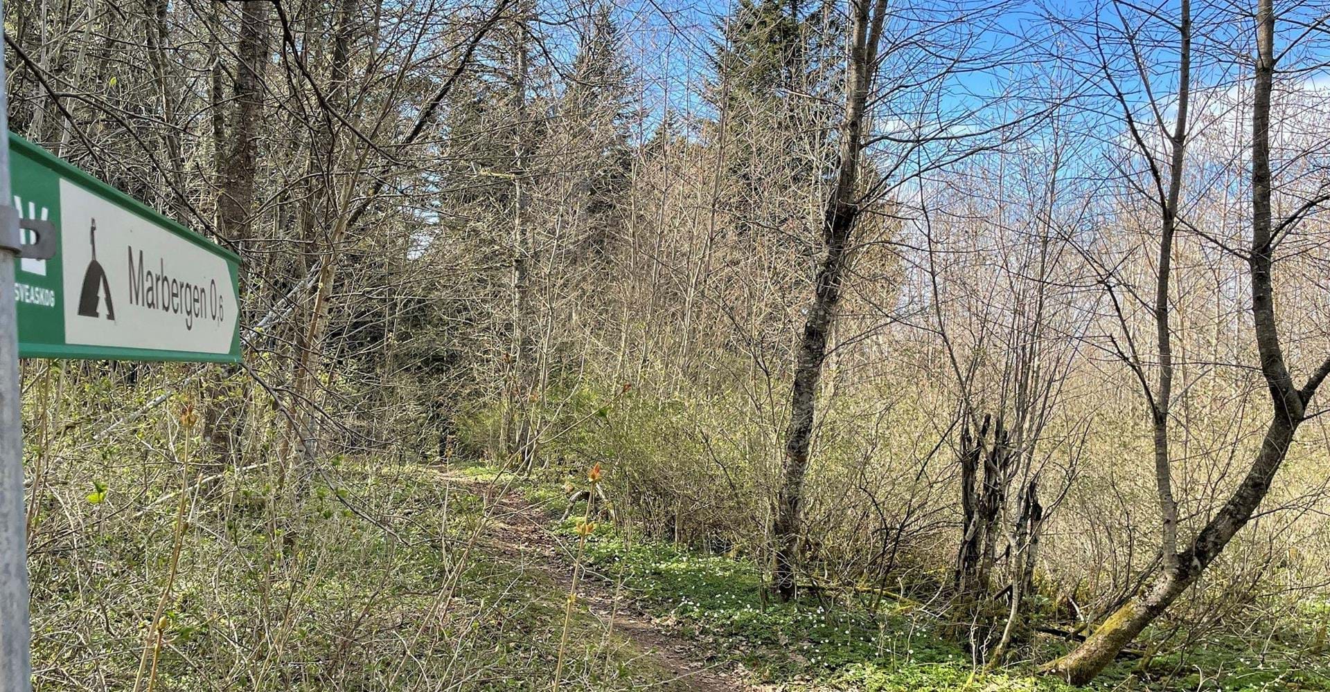 Vägvisare till Marberget, högt över Ombergs jätteekar och Storpissan naturreservat.
Omberg.
Ödeshög.
