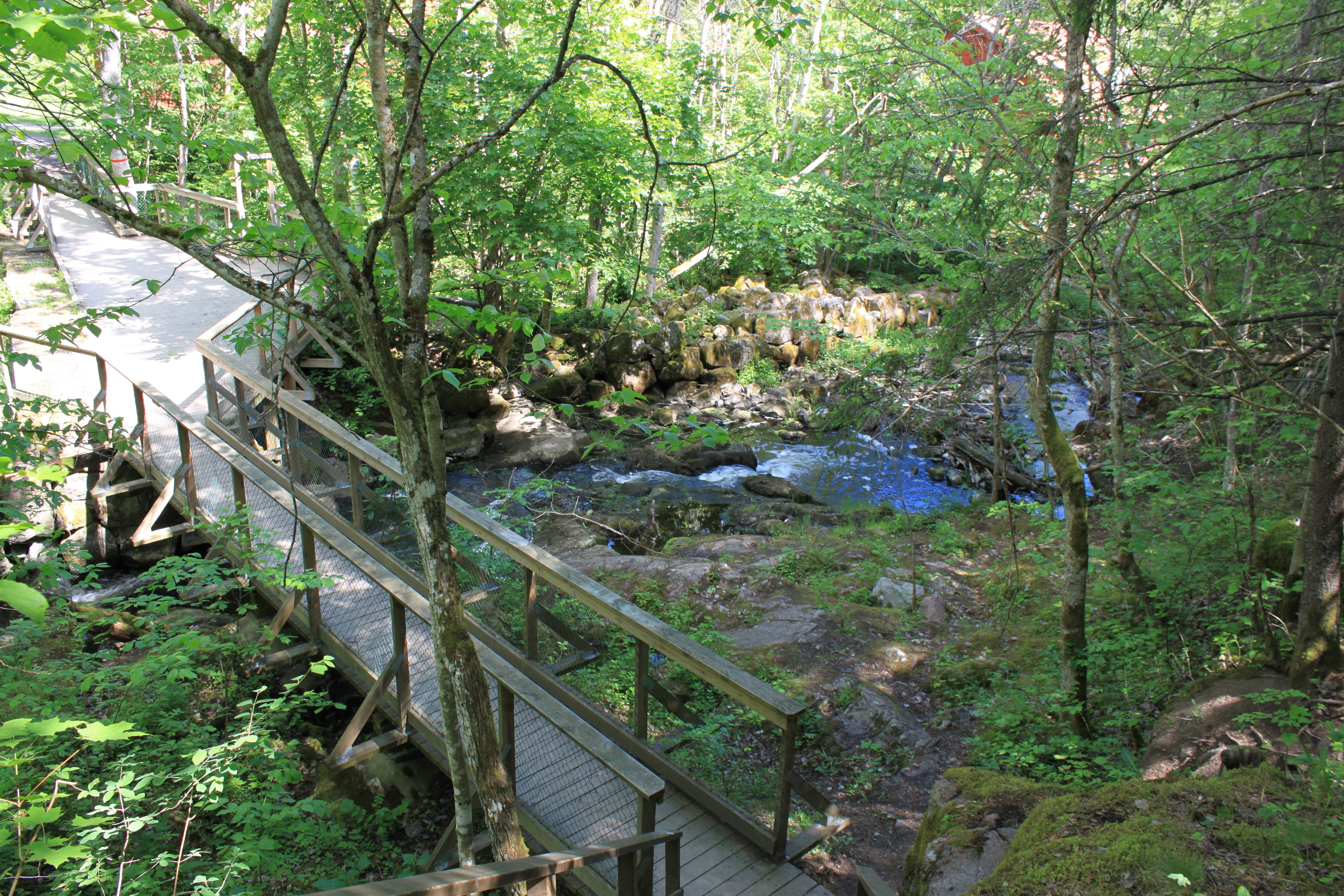 En bred träspång med handräcken leder fram till en bro. Bron går över en ravin med stenar och vatten. Runtom växer många buskar och träd.