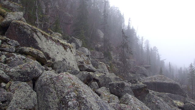 Tallberget