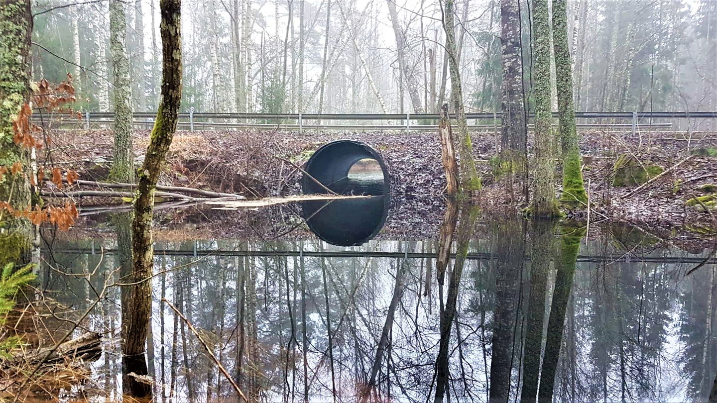 Väg över vatten