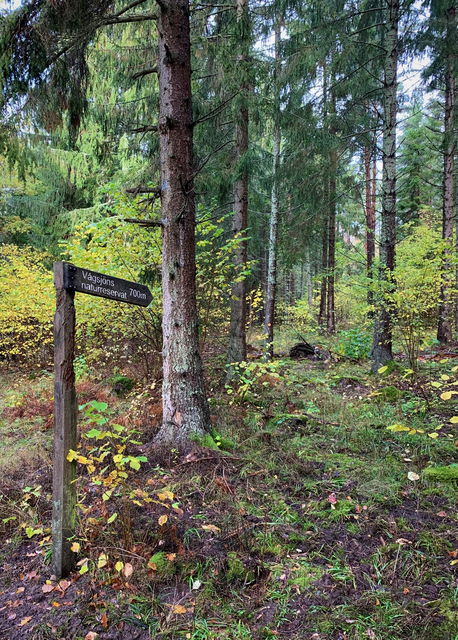 Från Erkenvägen och parkeringen leder en markerad stig till reservatet. 