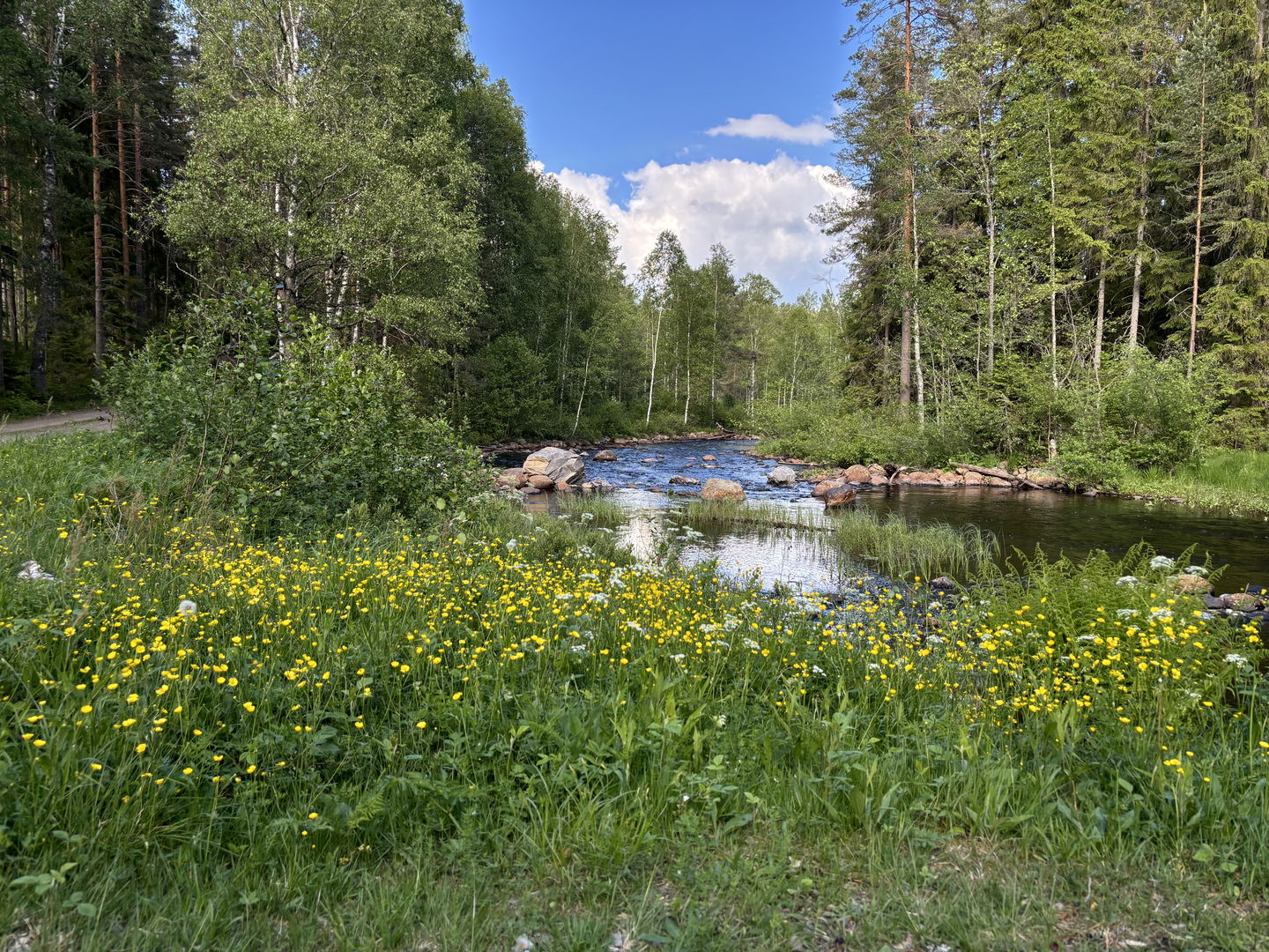 Lumsen 