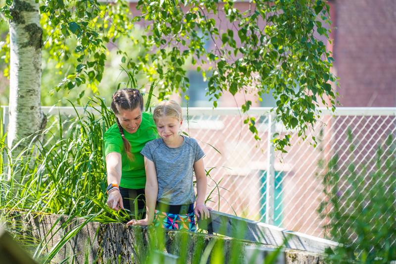 Jentene studerer plantene