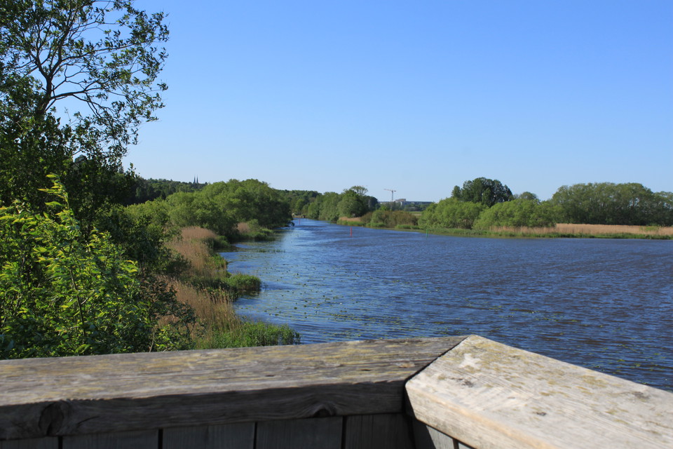 Högst upp i fågeltornet finns ett högt skyddsräcke och ett bra utsikt över Fyrisån. Det är många träd på bägge sidor av ån.