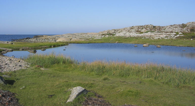 Vy över reservatet