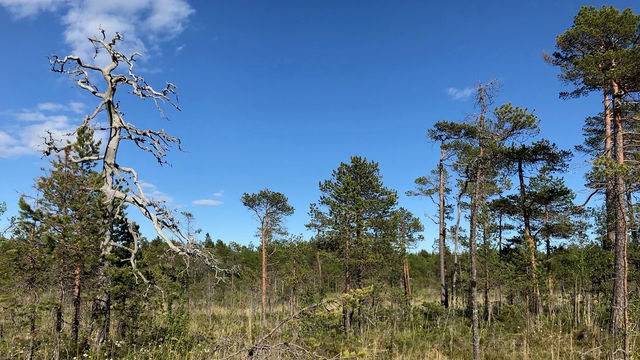 Ormberget-Hertsölandet