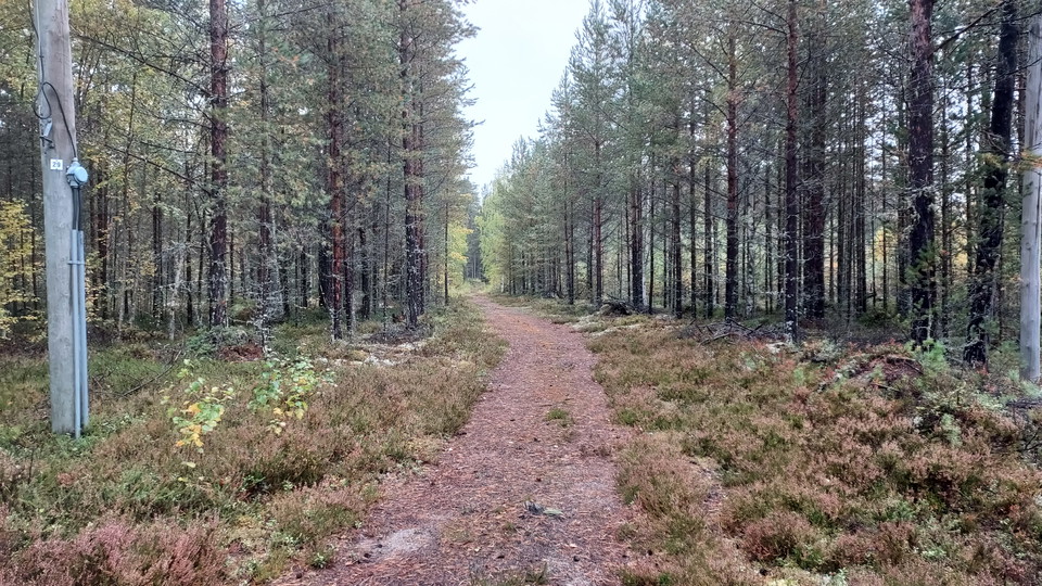 Kårböle Elljusspår