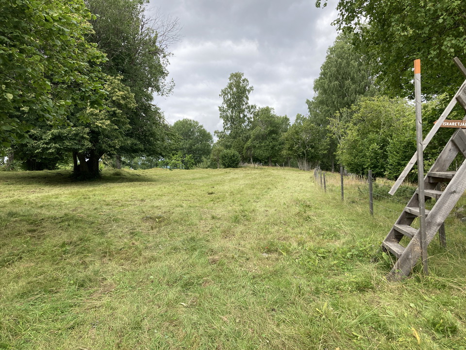 Träkonstruktionen stätta som blir en trappa över stängslet in till beteshagen med lövträd och buskar..