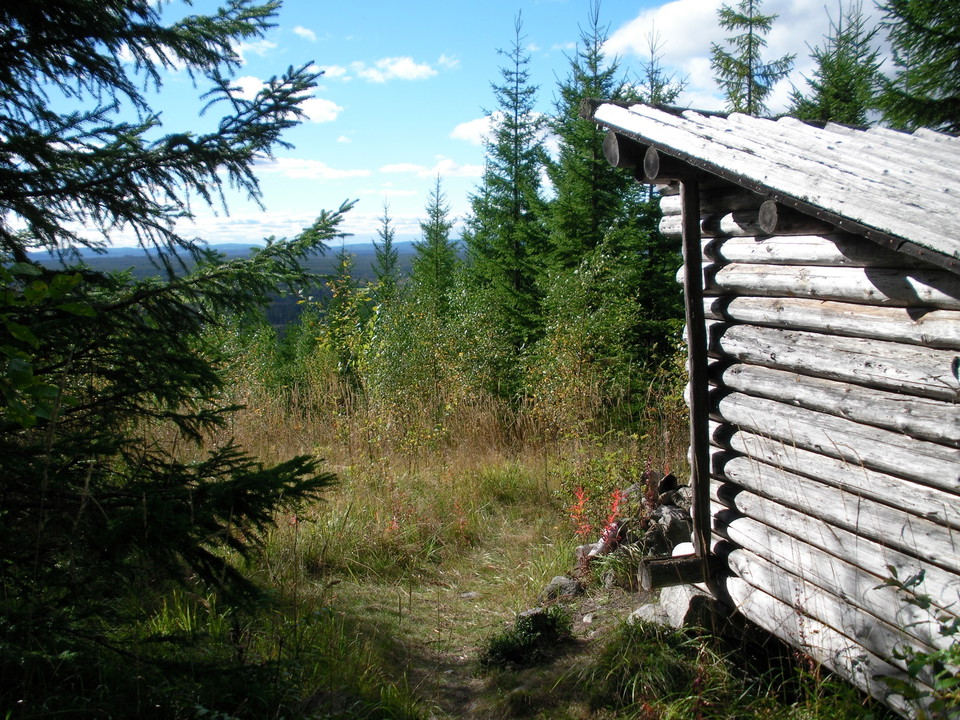 Högåsen