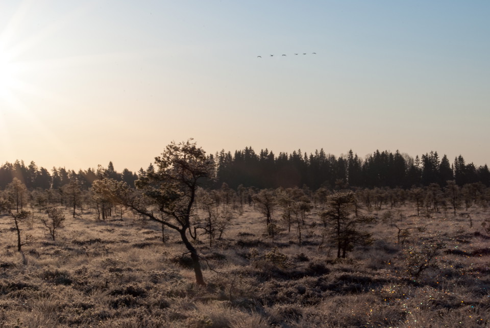 Fotograf: Tobias Ivarsson