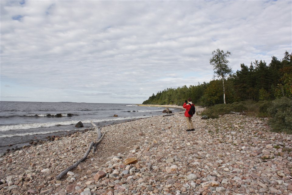 En person står på en stenstrand vid havet. Personen bär en ryggsäck på ryggen och spanar ut över havet.