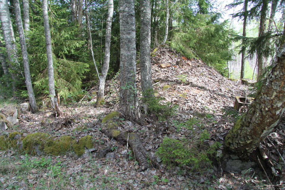 Rester av ett gammalt torp.