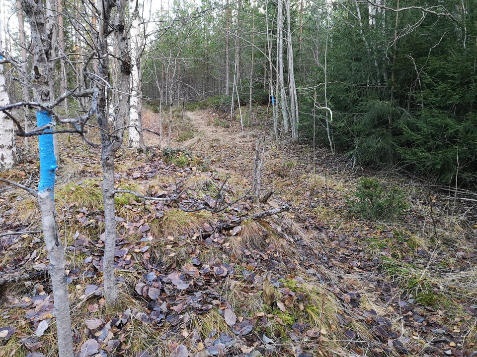 Följ blå markering!