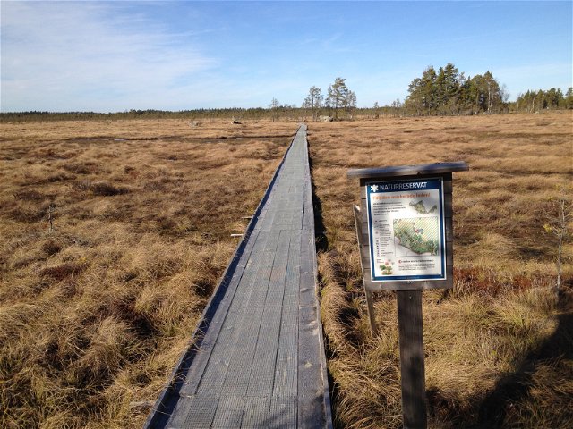 Hiking trail in Kärnskogsmossen nature reserve