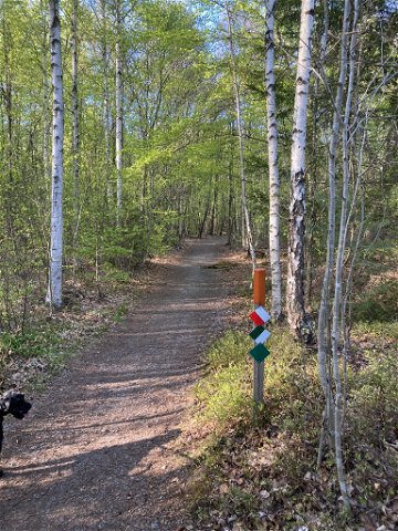 Motionsspår Bastasjö - gul/vit 4.3 km