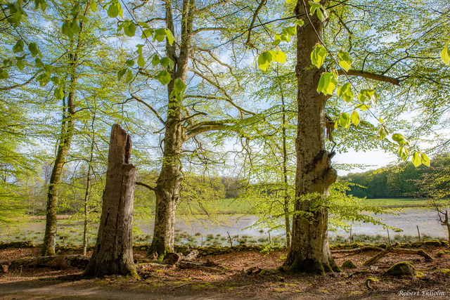 Tromtö, Naturreservat