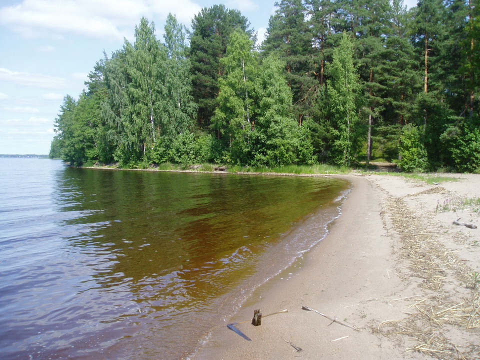 Åshuvudet