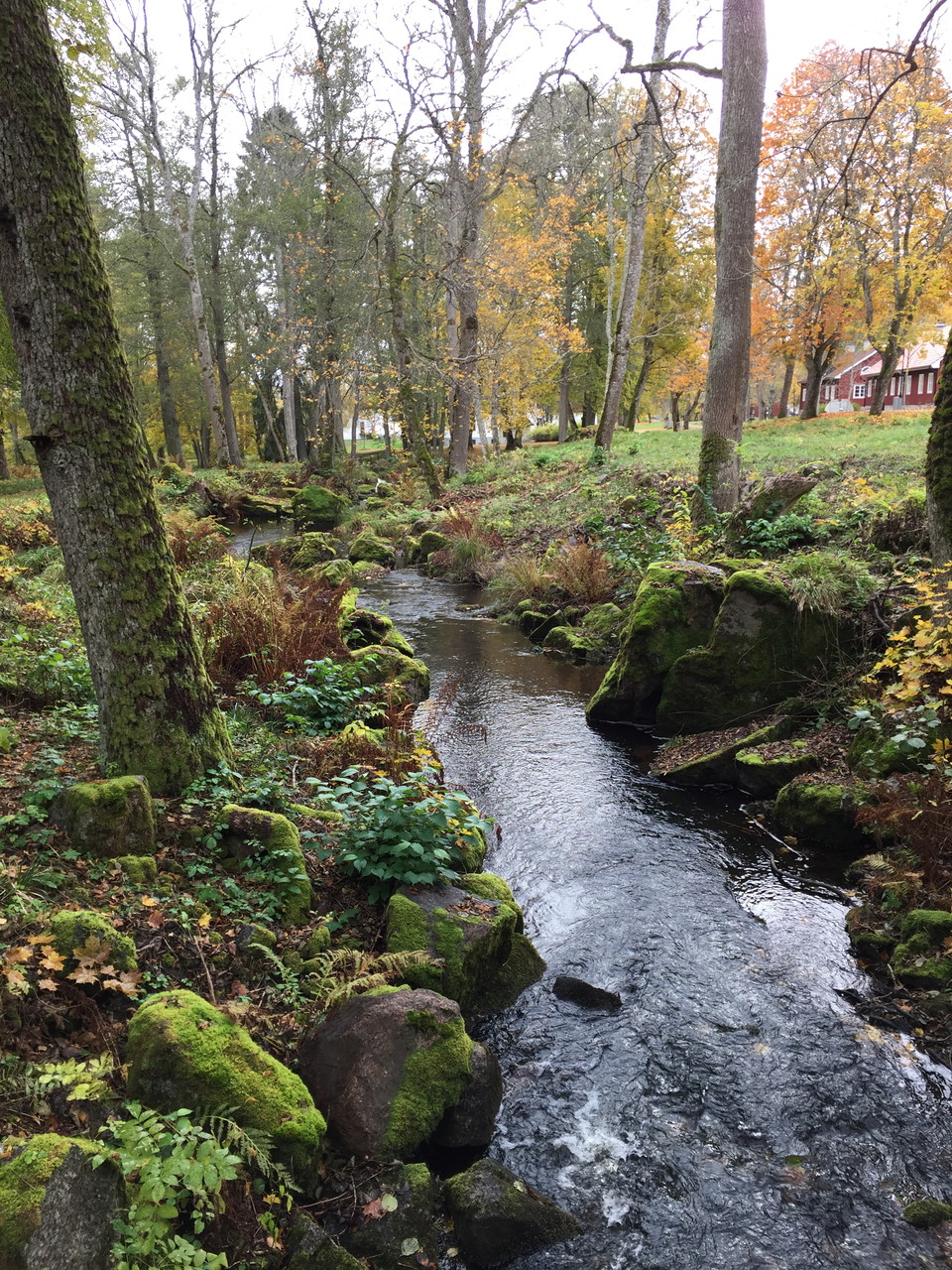 Packlista för dagsvandring