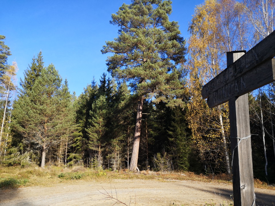 Ledmarkering