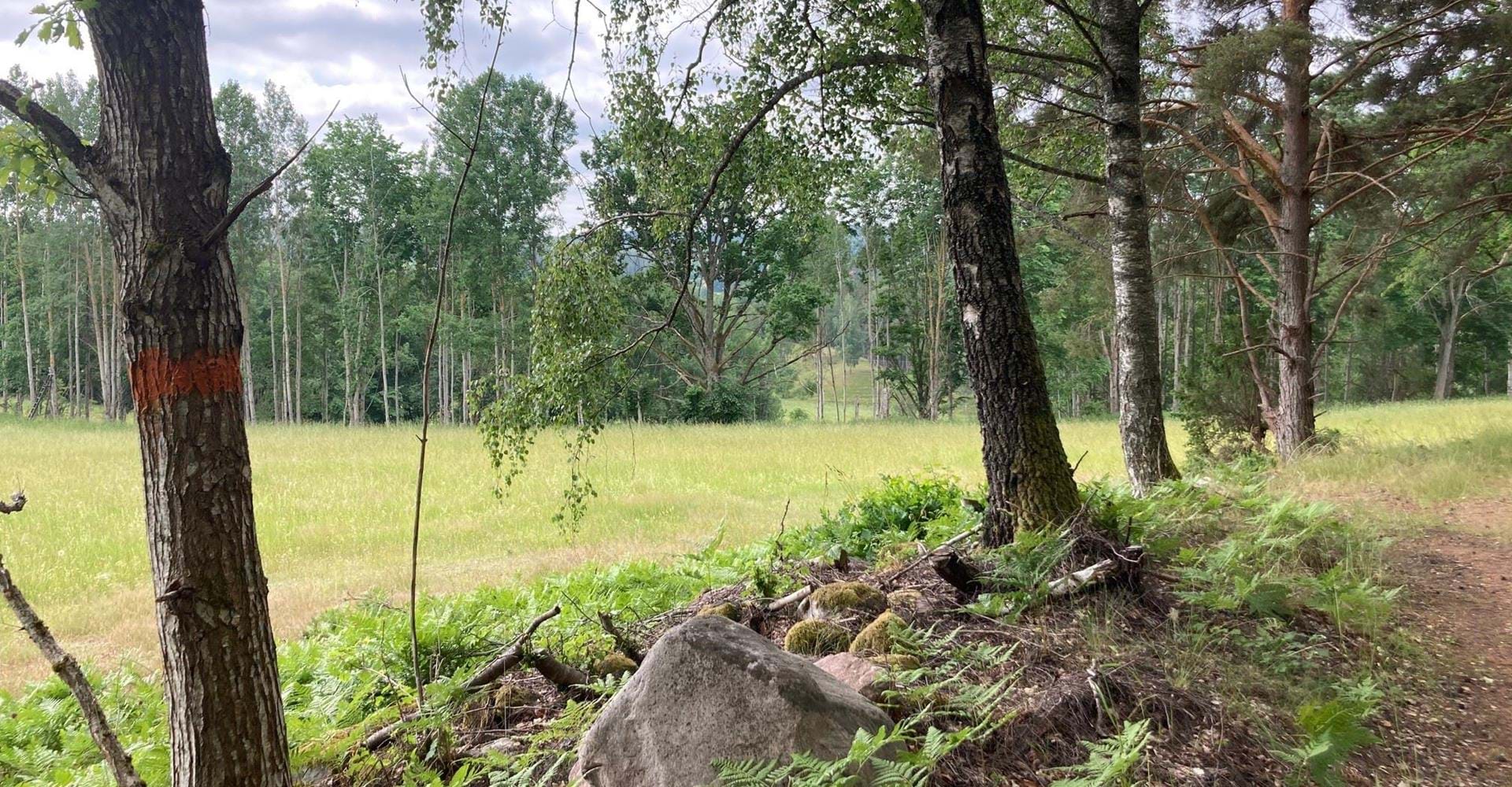 Finnbygget rundslinga