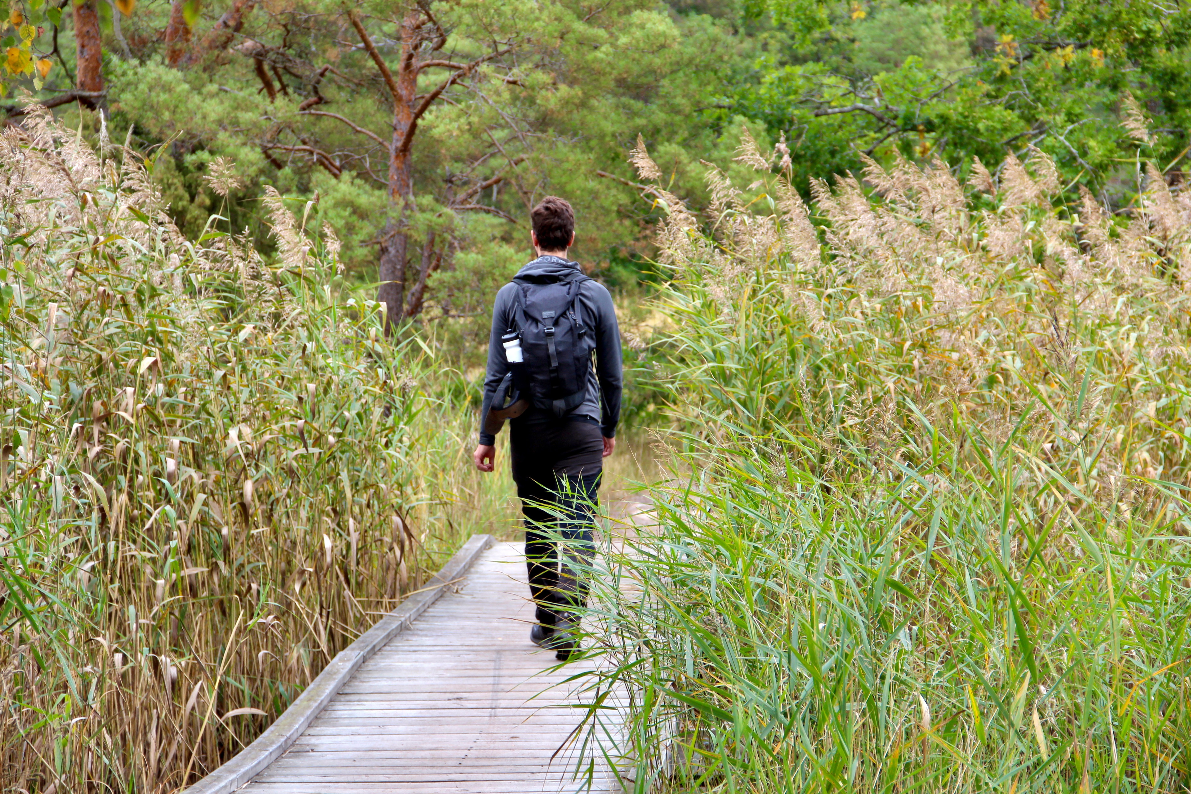 Kalmarsundsleden (Revsuddevägen - Värsnäs)