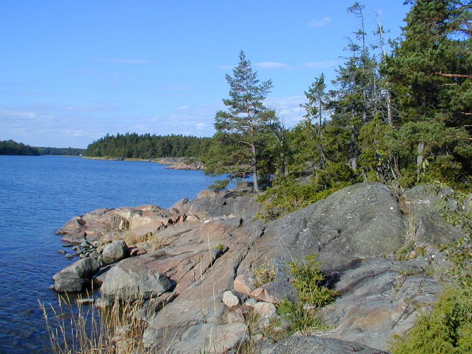 Något branta stenhällar leder ner till havet. Det är gott om skog runtom.