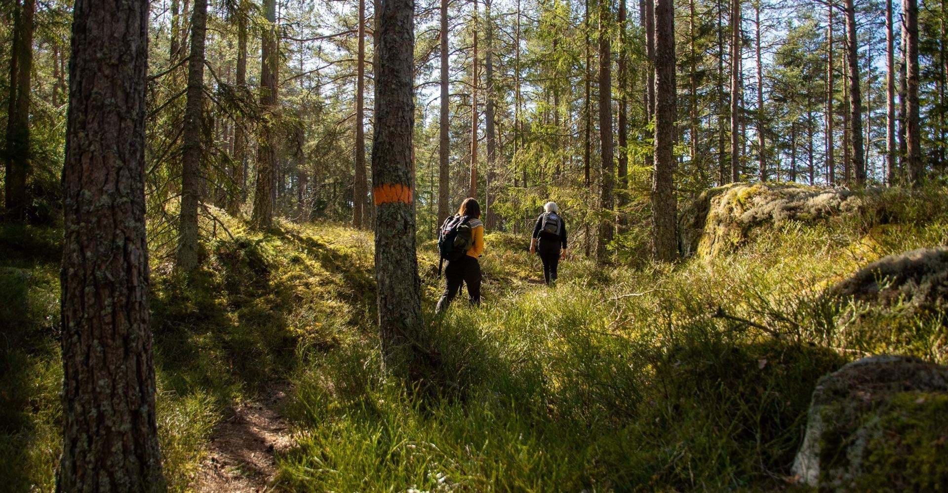 Fridhem rundslinga, Östgötaleden