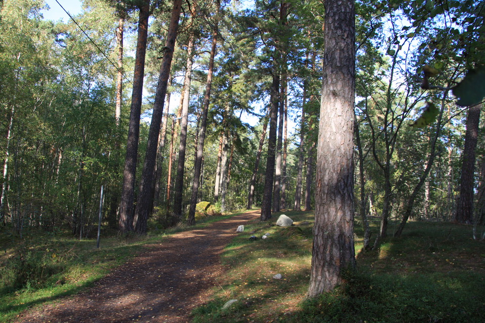 Elljusspåret Smedgärdspåret är perfekt för dig som vill ta en tur runt Apoteksskogen.