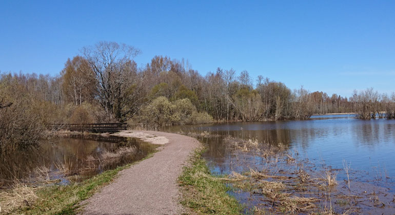 Tillgänglighetsanpassat naturreservat!