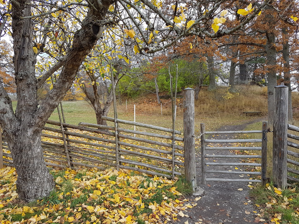 Betesäng med passage. Foto Lidingö stad.