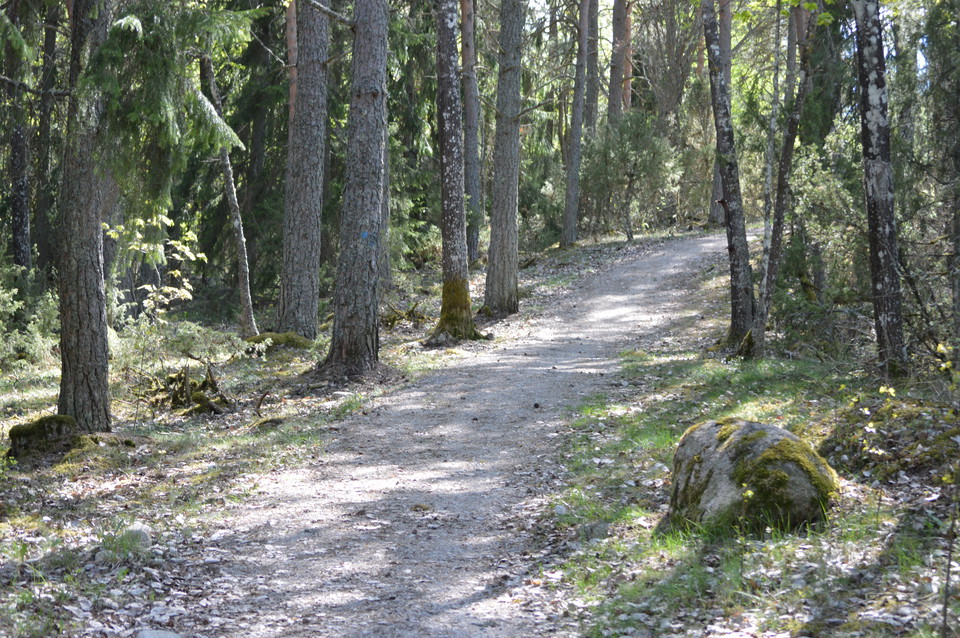 Stigen på åsen