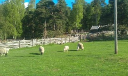 upplandsvasby.se Gunnes gård