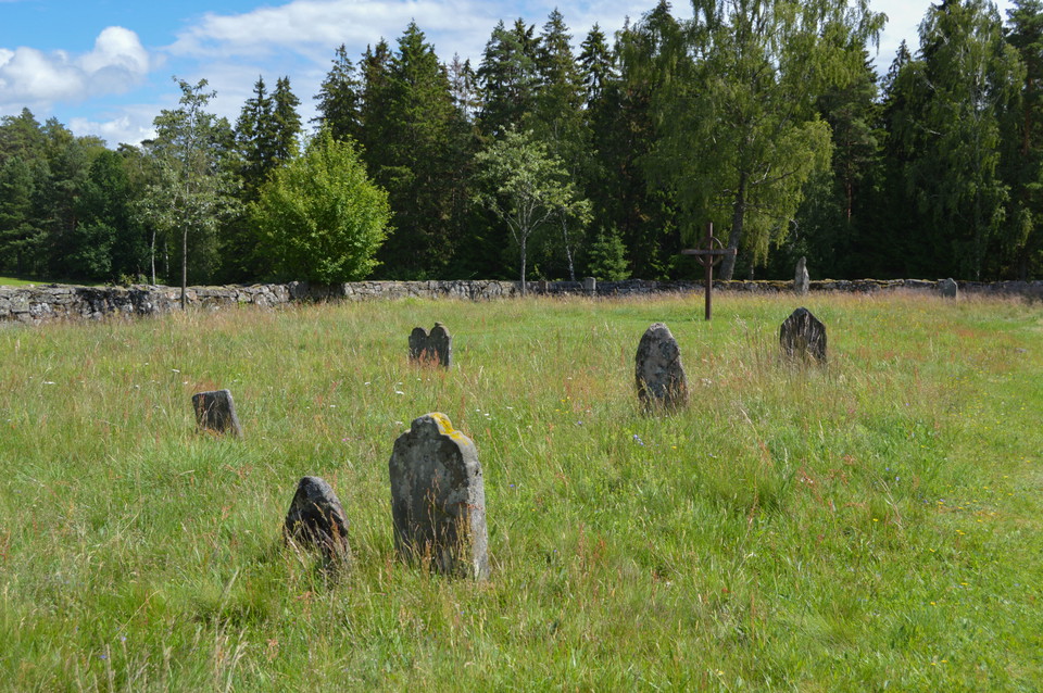 Alma Skog