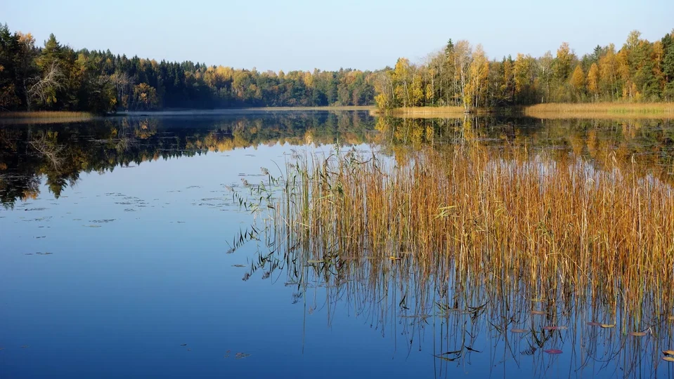 Nedre Långsjön en höstdag