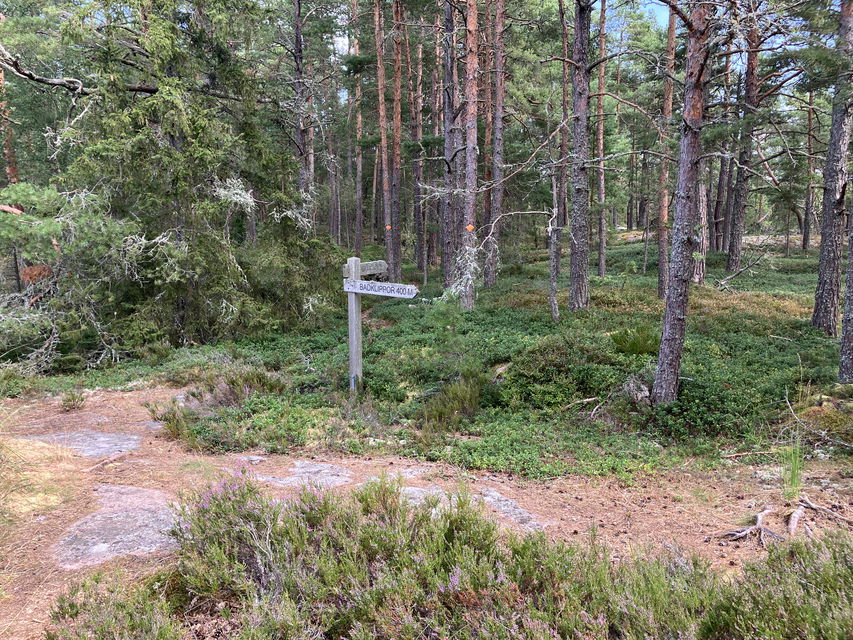 Längs leden finns olika vägivisningsskyltar