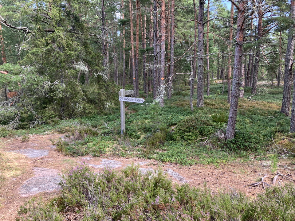 Längs leden finns olika vägivisningsskyltar