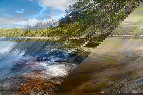 Välkommen till Flugan, en pärla i skogen!