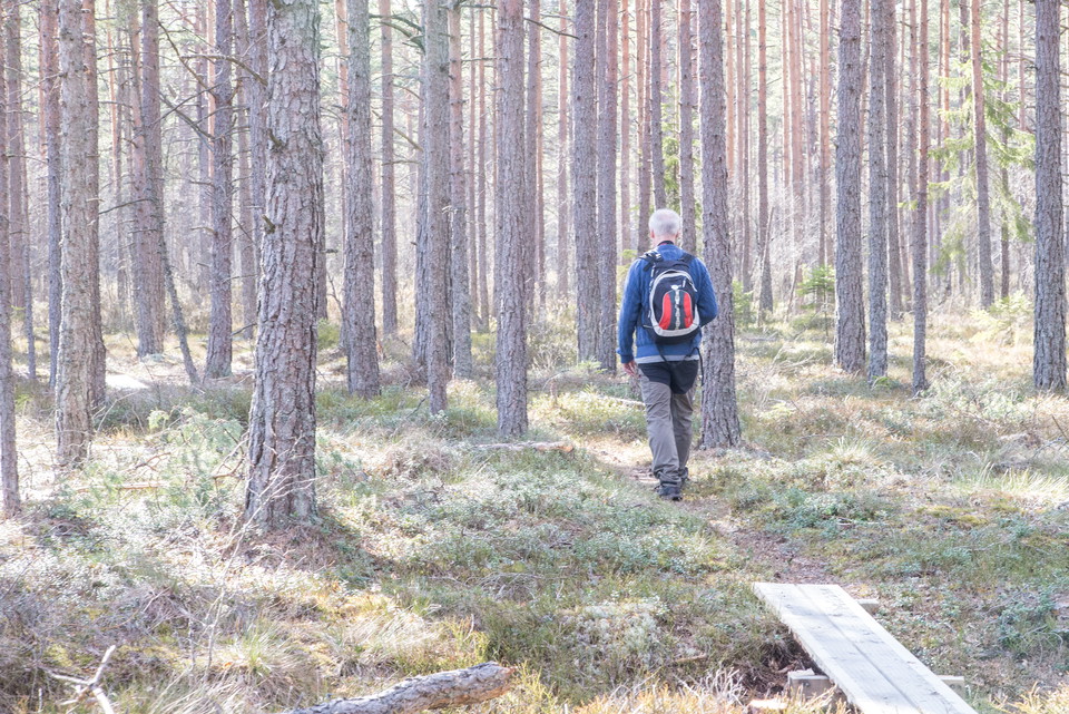 Fotograf: Tobias Ivarsson