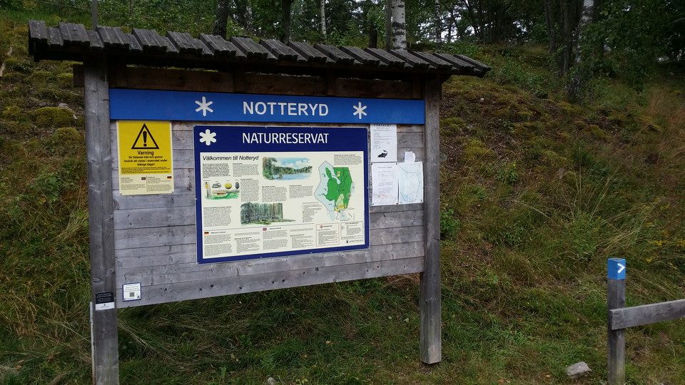 Information